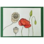 Slika Poppy Flower - Slika 2