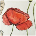 Slika Poppy Flower